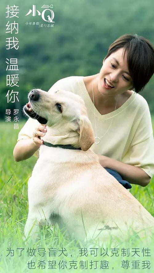 一比一仿田纳西州驾驶证